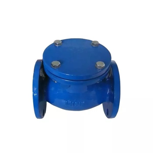 MDE DE3001132 DUCTILE CAST IRON SWING CHECK VALVE